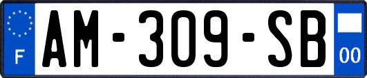 AM-309-SB