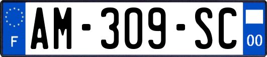AM-309-SC