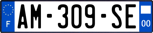 AM-309-SE