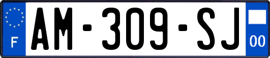 AM-309-SJ