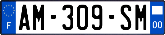 AM-309-SM