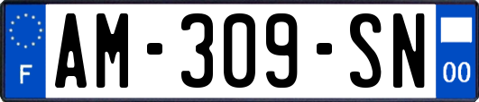 AM-309-SN