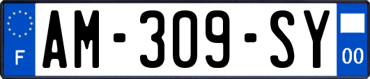AM-309-SY