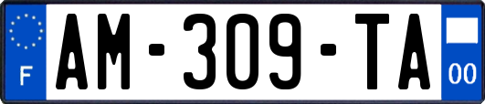 AM-309-TA