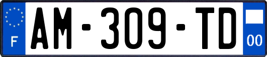 AM-309-TD