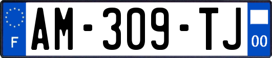 AM-309-TJ