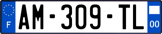 AM-309-TL