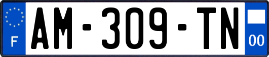 AM-309-TN