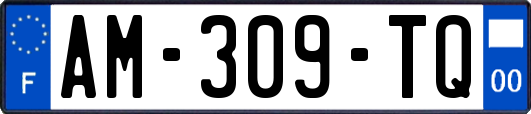 AM-309-TQ