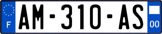 AM-310-AS