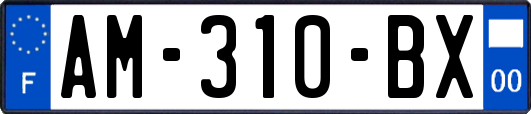 AM-310-BX