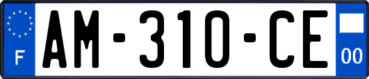 AM-310-CE