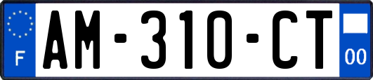 AM-310-CT