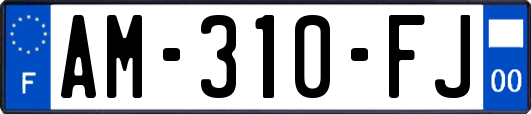 AM-310-FJ