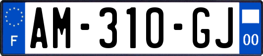 AM-310-GJ