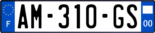 AM-310-GS