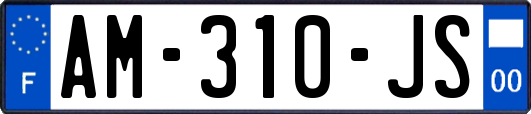 AM-310-JS