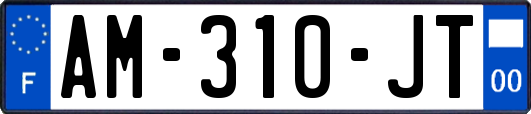 AM-310-JT