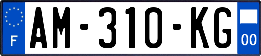 AM-310-KG