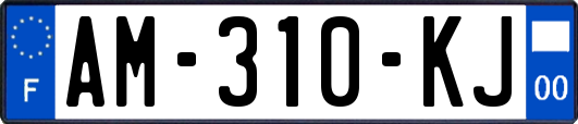 AM-310-KJ
