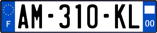 AM-310-KL