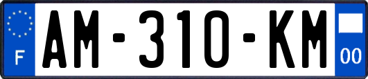 AM-310-KM