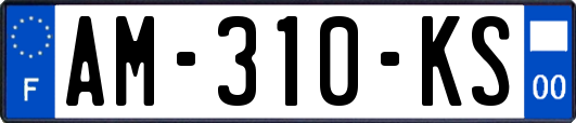 AM-310-KS