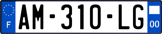 AM-310-LG