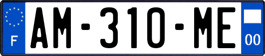 AM-310-ME