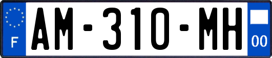 AM-310-MH