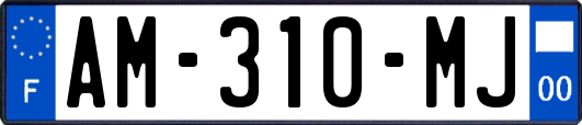 AM-310-MJ
