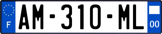 AM-310-ML