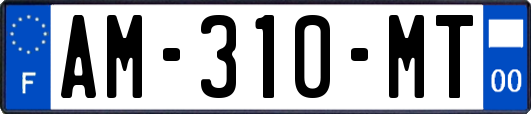 AM-310-MT