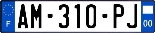 AM-310-PJ