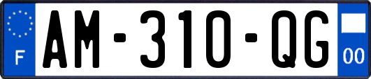 AM-310-QG