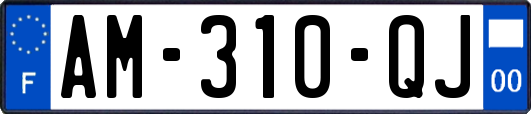 AM-310-QJ