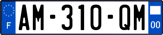 AM-310-QM