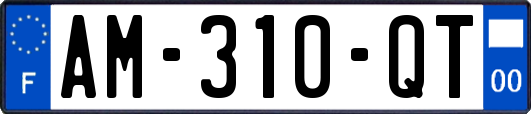 AM-310-QT