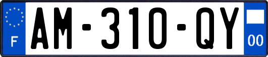 AM-310-QY