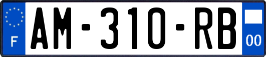 AM-310-RB