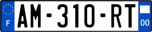 AM-310-RT