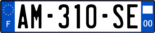 AM-310-SE