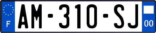 AM-310-SJ