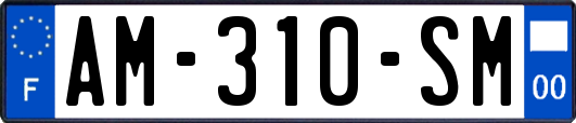 AM-310-SM