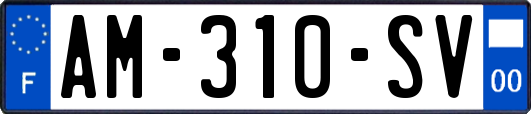 AM-310-SV