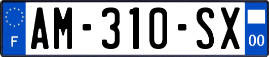 AM-310-SX