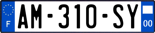 AM-310-SY