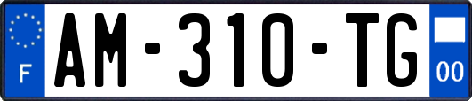 AM-310-TG