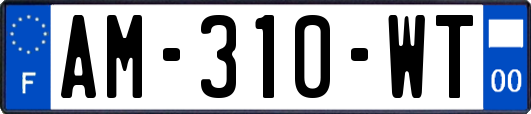 AM-310-WT
