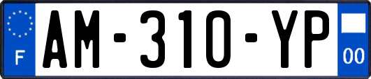 AM-310-YP